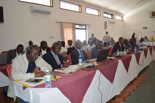 Finalisation of the Schedule of Commitments to COMESA on Trade in Services